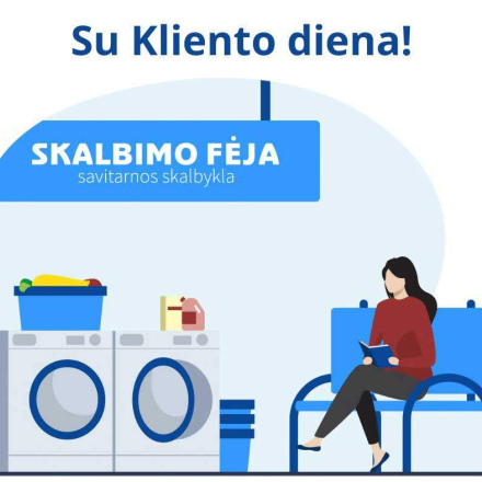 Skalbimo Feja