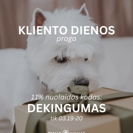 Pilnas Namas