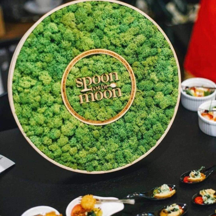Spoon to the Moon
