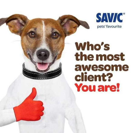 SAVIC